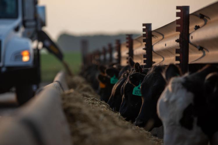 Knobloch award 3.jpg