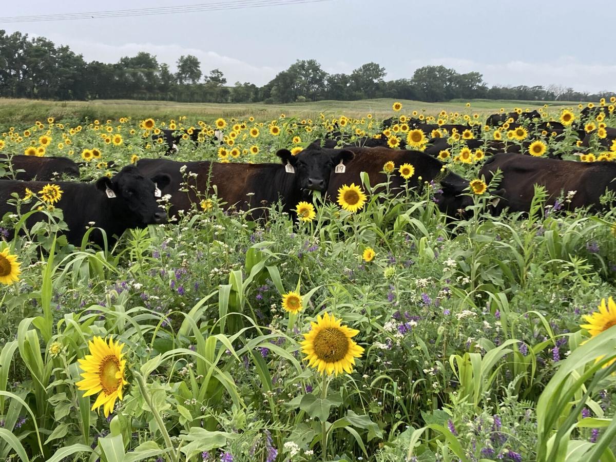 NE Ag Conference 1.jpg