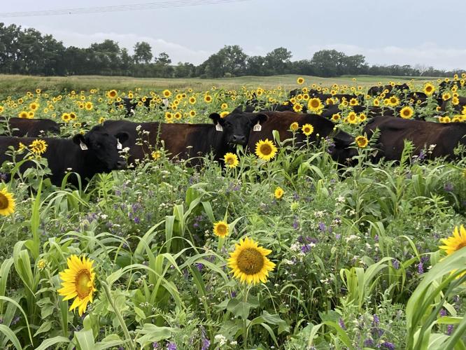 NE Ag Conference 1.jpg