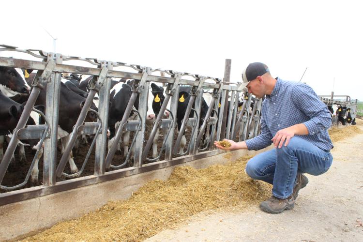 Dairy Nutrition (50).JPG