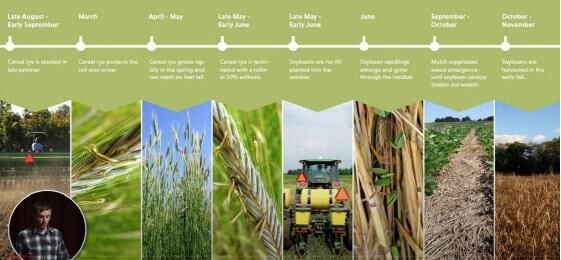 Cover cropping research