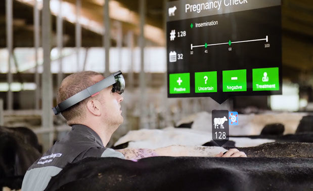 Augmented reality goggles