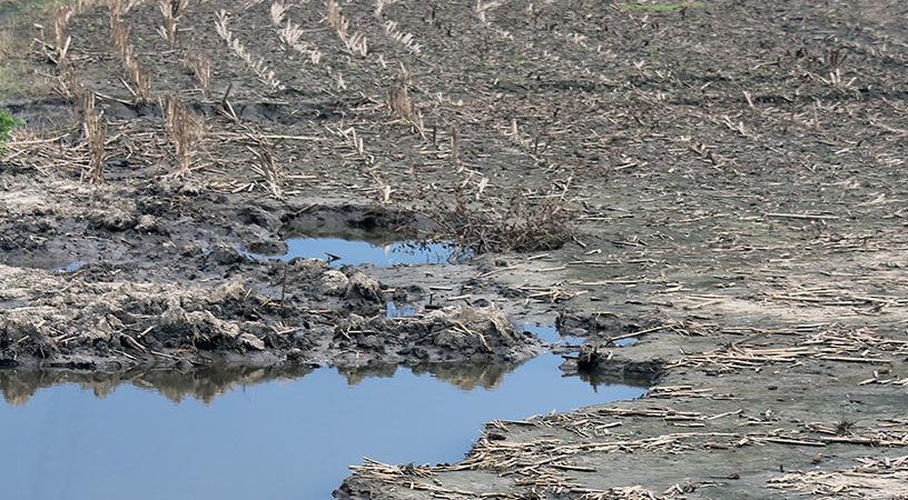 Flood-damaged fields