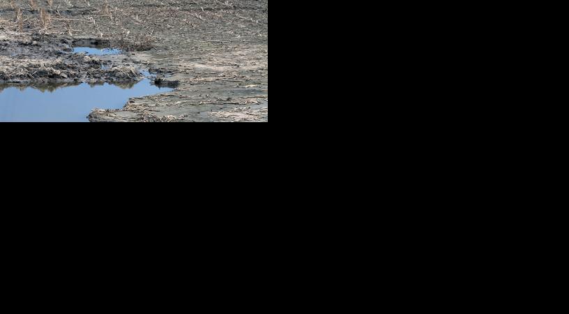 Flood-damaged fields