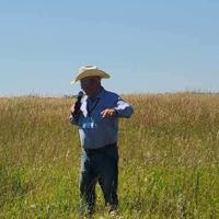 Sand Ranch – where cattle manage resources