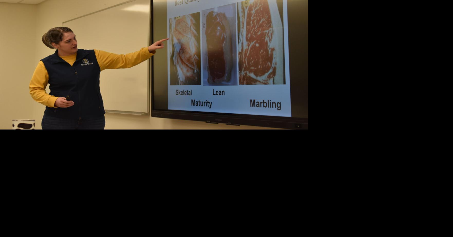 Understanding beef quality from the carcass up