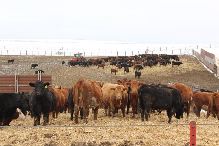 Iowa Stock Growers (8).JPG