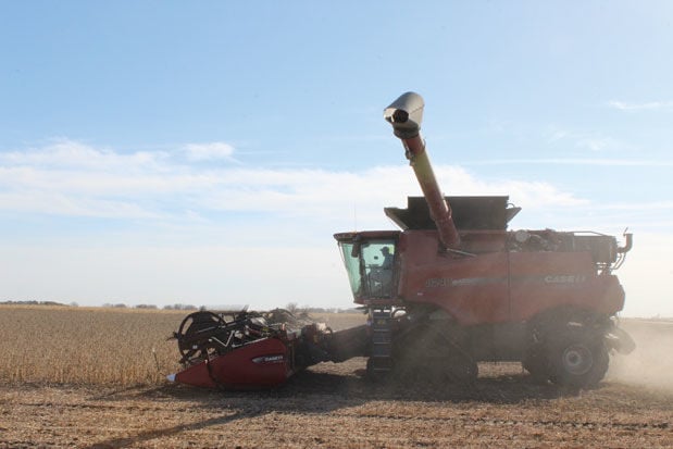 Soybean harvest