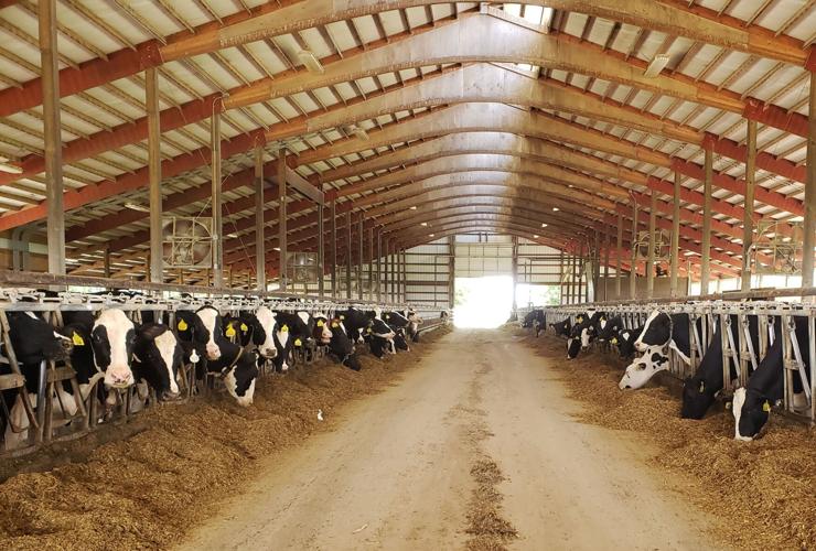 Dairy barn