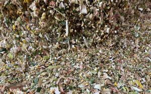 How to salvage late-season hail damage