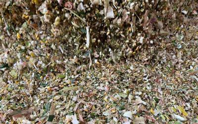 silage storage