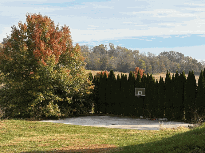 Basketball-hoop.gif