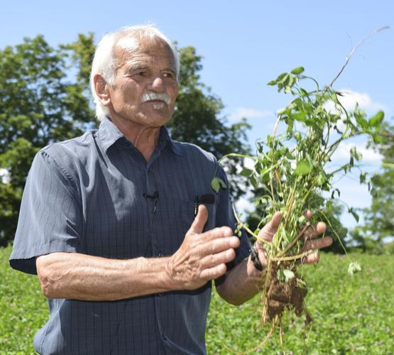 Gary Zimmer with red clover