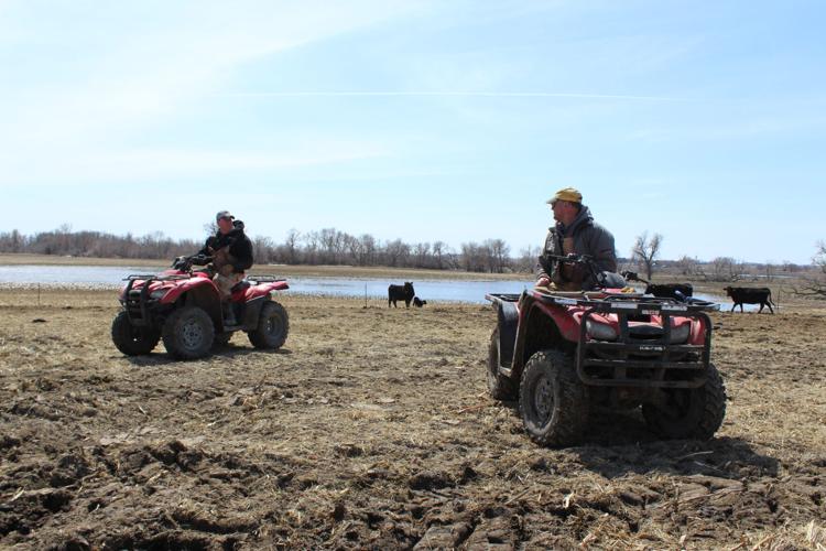 Crop Watcher Wittnebel (43).JPG