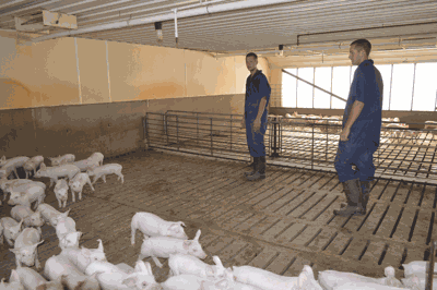 Cale and Connor Juergensen