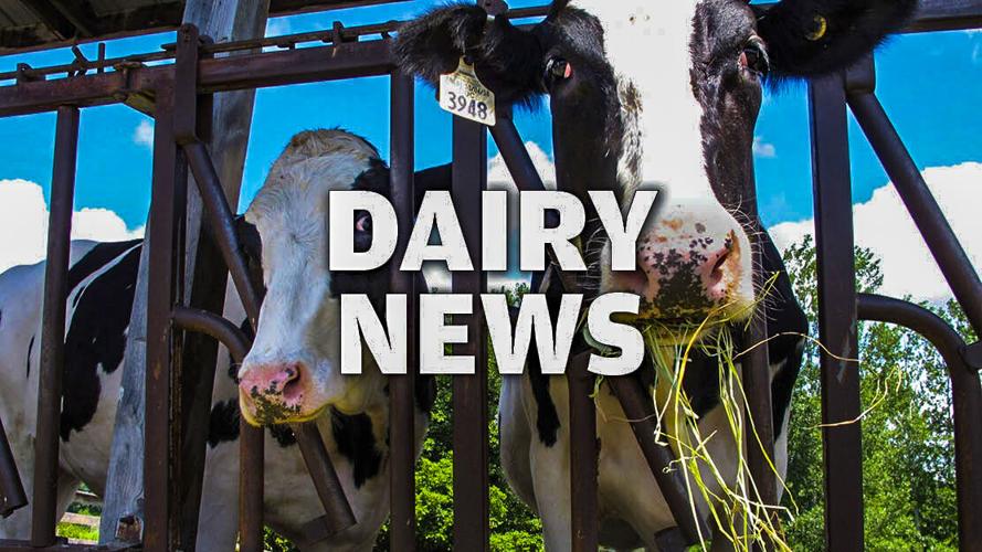 Dairy News logo graphic version 3