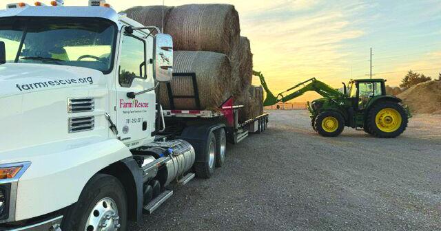 Farm Rescue wildfire relief (4) - worked.jpg