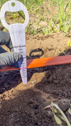 Planting depth
