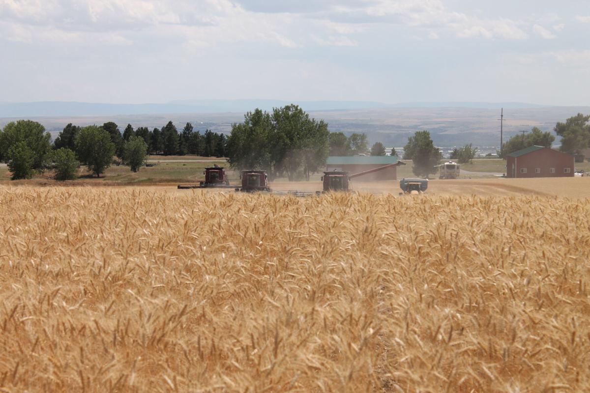 Precision ag