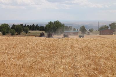 Precision ag