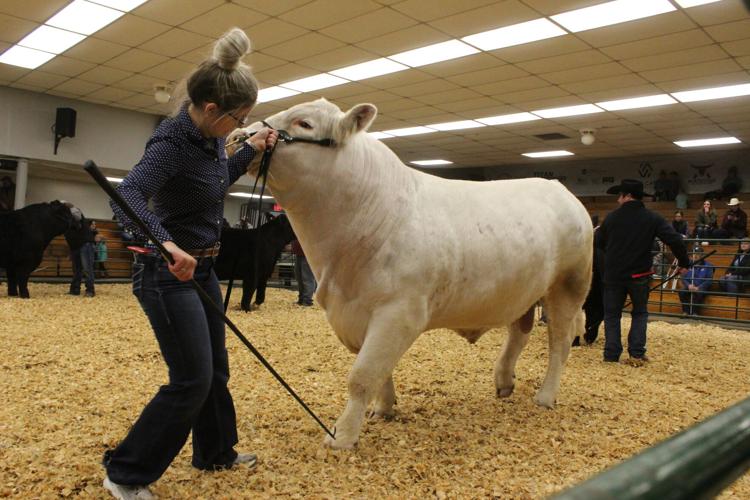 WWFS Supreme Row (103).JPG