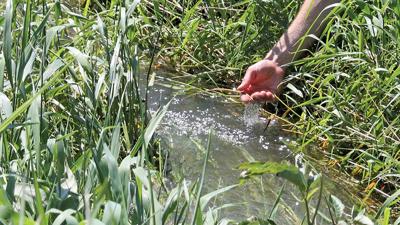 Water quality hand in stream
