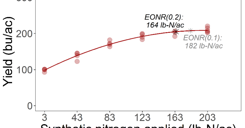 Nitrogen graphic