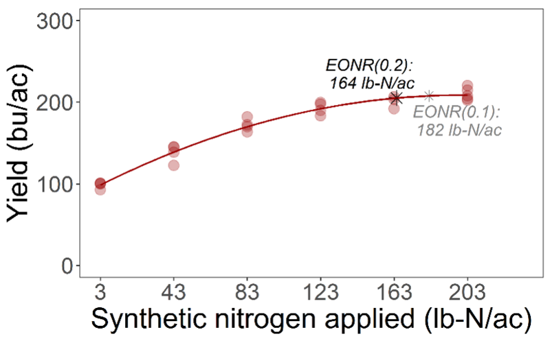 Nitrogen graphic