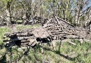 Spring Ranch 9.JPG
