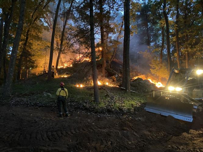 Fire in forest