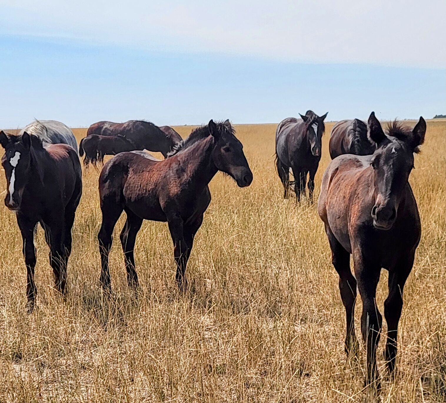 6 - 20240829_121608~3.jpg