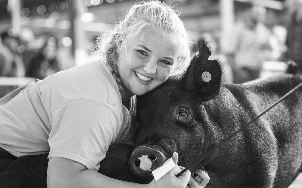 Minnesota Youth Livestock Expo photo
