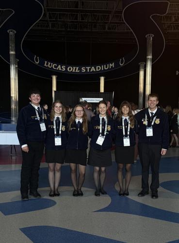 O'Neill FFA.jpg