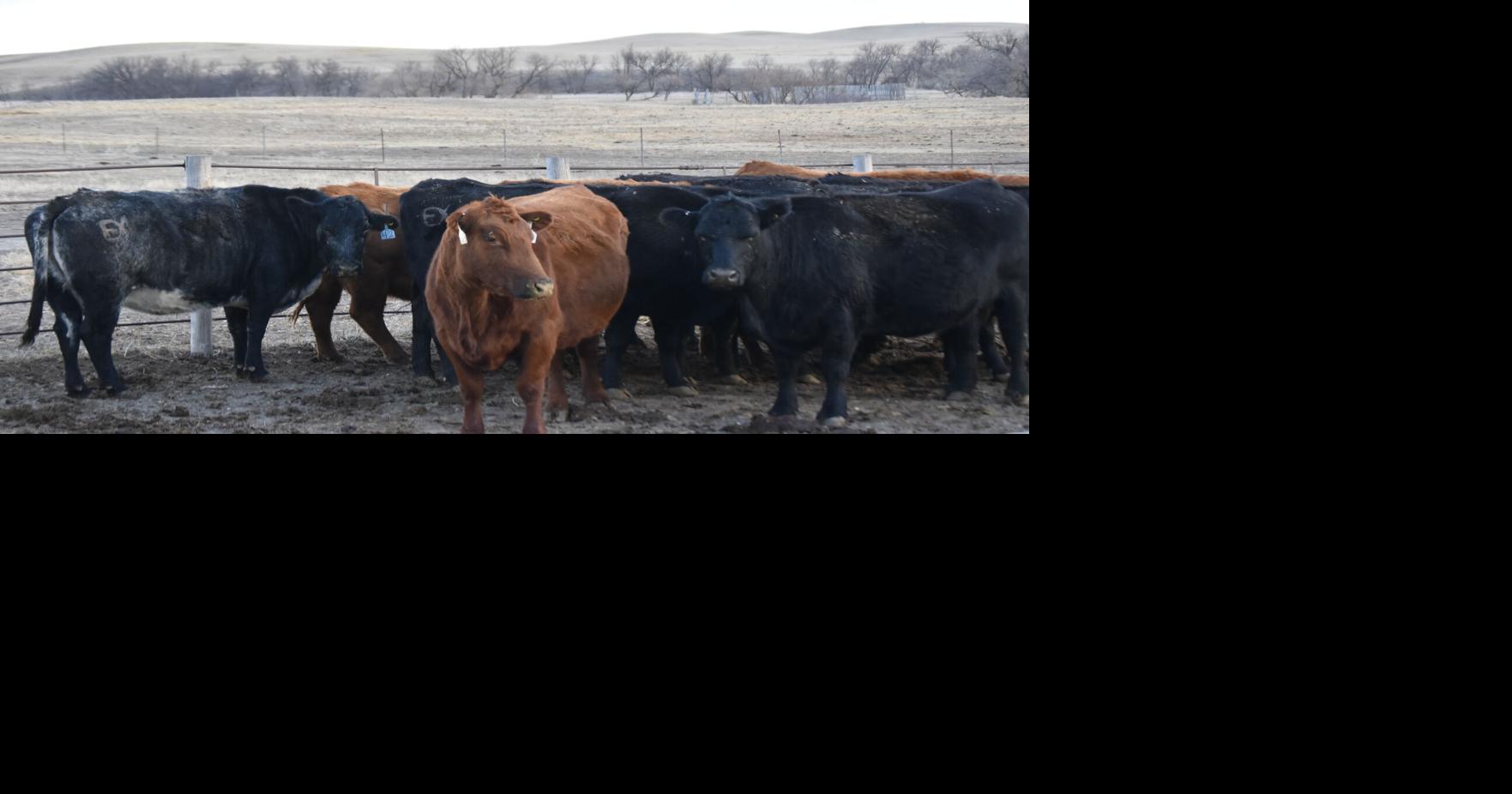 Cottonwood Station (42).JPG