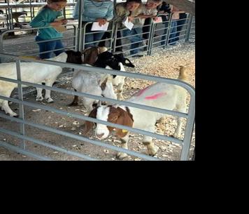 Webster County 4-H.jpg