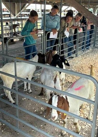 Webster County 4-H.jpg