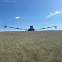 Rain delays Hansen harvest in mid-July