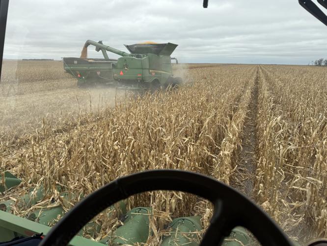 CW Holzwarth (3).jpg