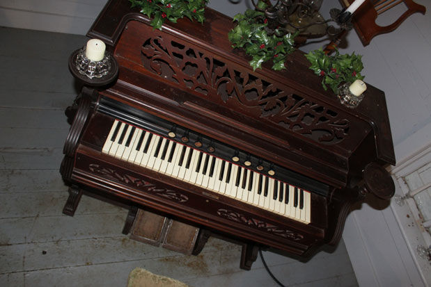 Organ