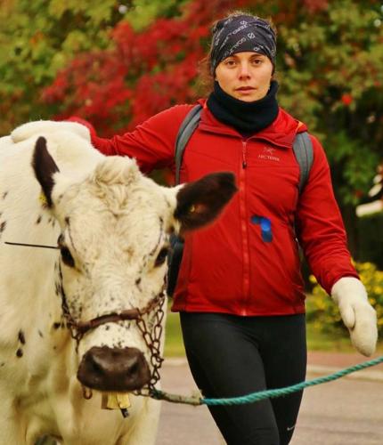 Caitlin Vitale-Sullivan and cow