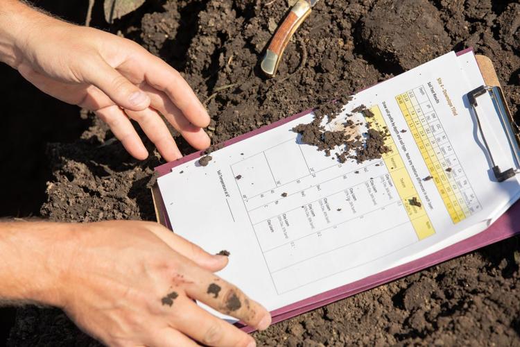 Haney soil health test