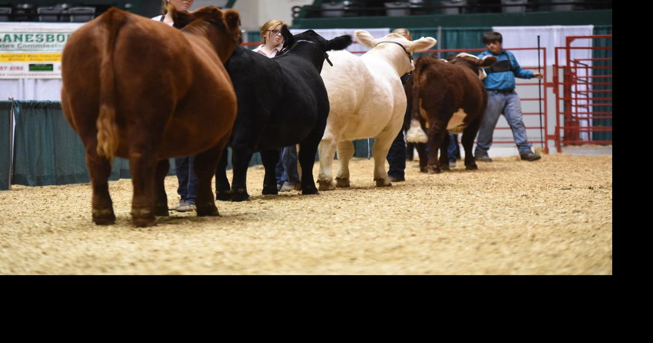 Minnesota Beef Expo concludes its largest show yet