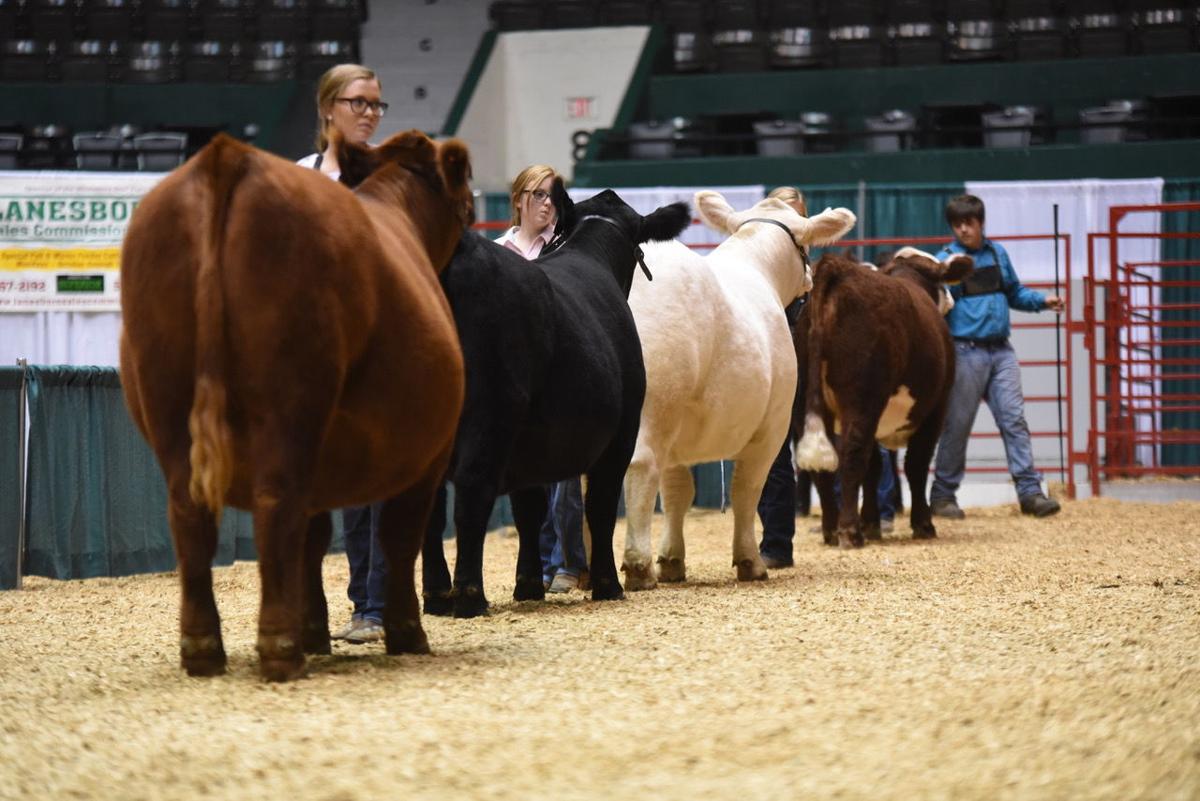 Minnesota Beef Expo concludes its largest show yet
