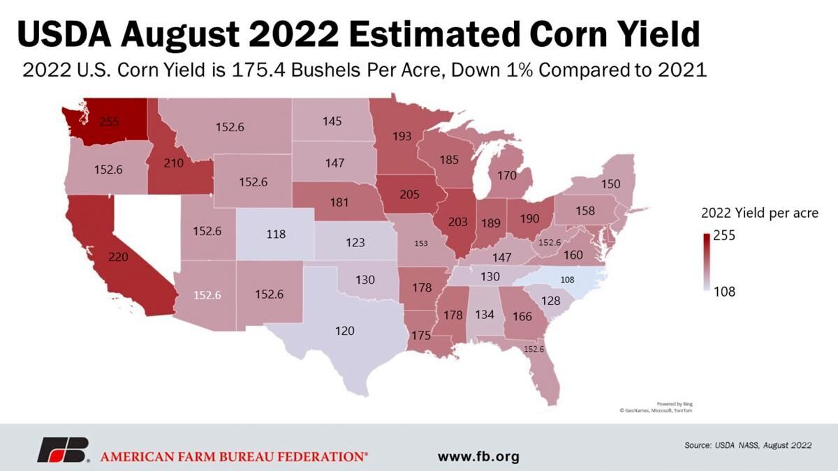 August 2022 Estimated Corn Yield