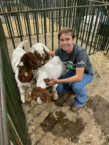 4-H goat 1.jpg