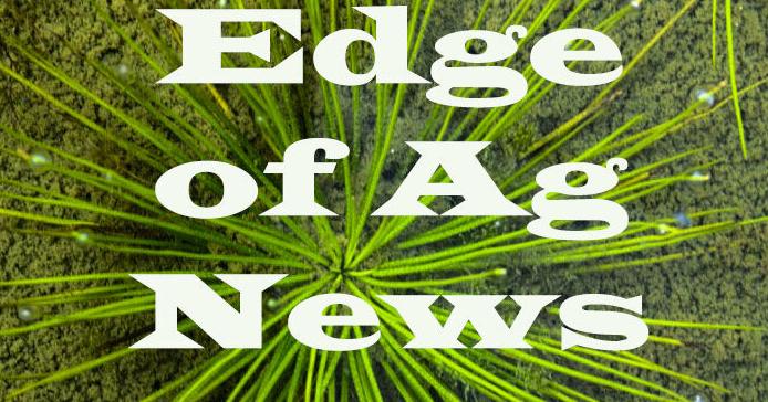 Edge of Ag News - Vimarsana News