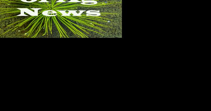 Edge of Ag News - Vimarsana News