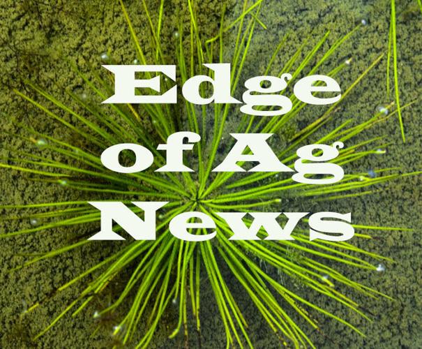 Edge of Ag News version 3.jpg