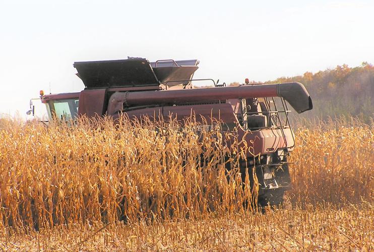 Combine in field