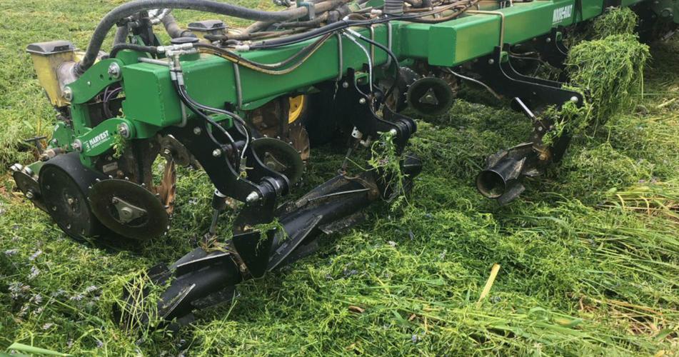Reduced tillage
